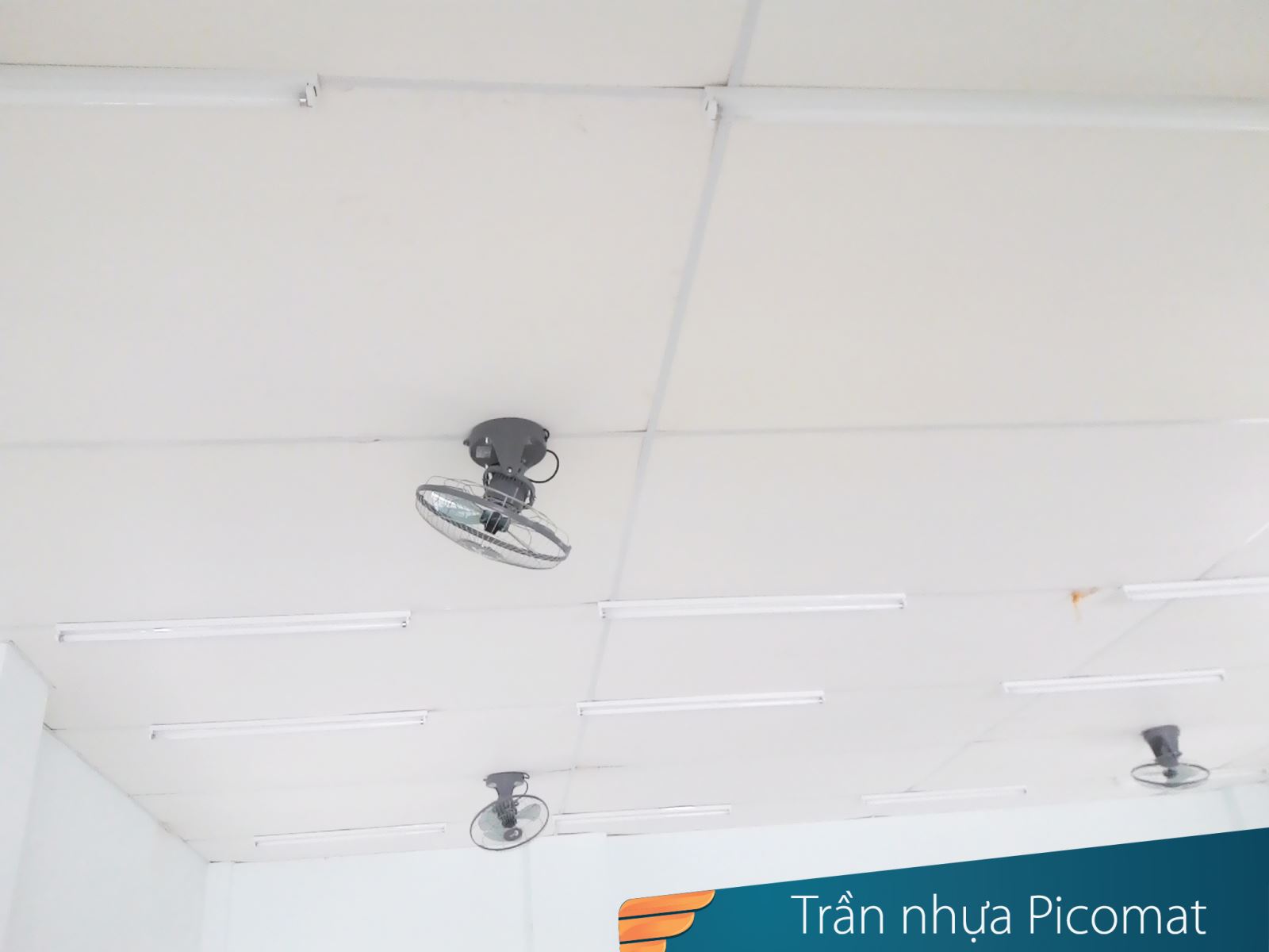 trần nhựa picomat
